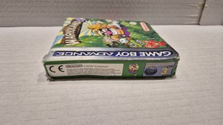 Warioland 4 Game Boy Advance Completo