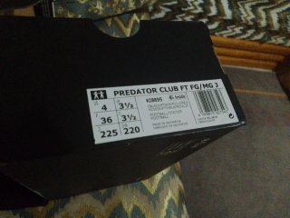 Zapatillas Adidas Predator Fútbol