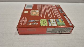 Pokemon Rosso Fuoco GBA