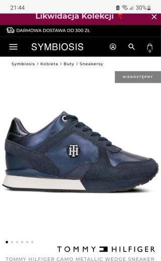 Zapatillas Tommy Hilfiger Azul/Plata