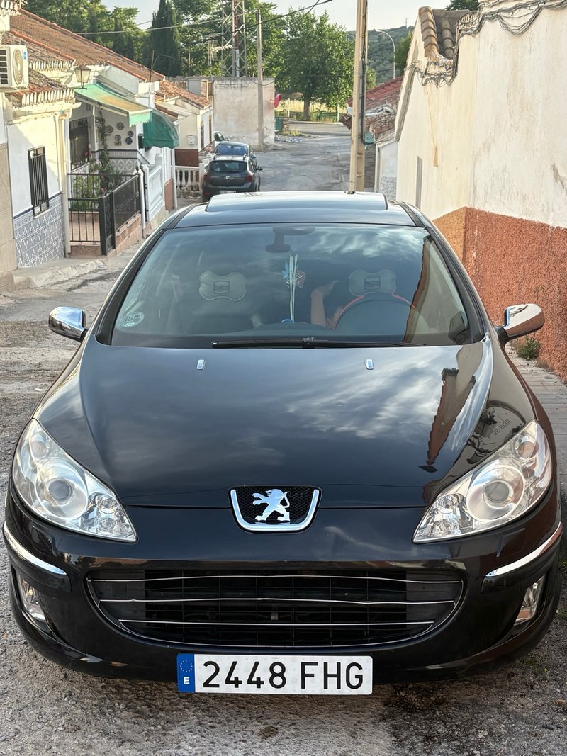 Peugeot 407 2006 - foto 1