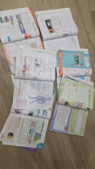 Lote libros 6 primaria doroteas