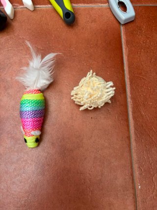 Pack Accesorios Gato: Comederos, Juguetes, Arenero