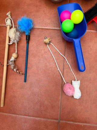 Pack Accesorios Gato: Comederos, Juguetes, Arenero