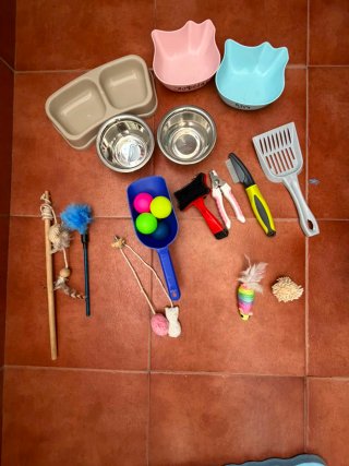 Pack Accesorios Gato: Comederos, Juguetes, Arenero