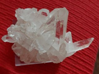 Espectacular Drusa con cristales transparentes