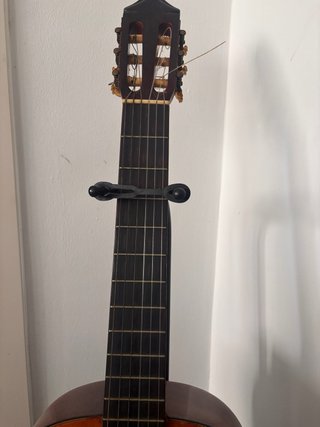 Guitarra Clásica Carlos