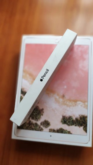 iPad Pro 10,5" 64 GB Wi-Fi + Apple Pencil + cajas
