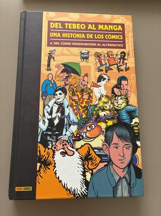 Del tebeo al manga una historia de los cómics