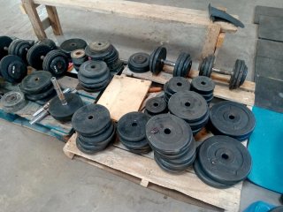 Discos de pesas para gimnasio