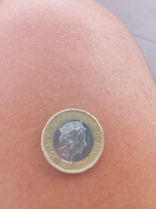 Moneda 1 Libra Esterlina 2016
