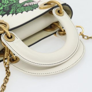 Christian Dior Lady Dior Niki de Saint Phalle Bag