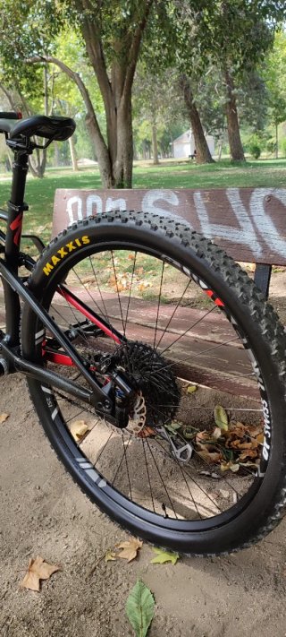 Bicicleta de montaña Specialized