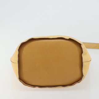 CELINE Circle Shoulder Bag Canvas Yellow Gold
