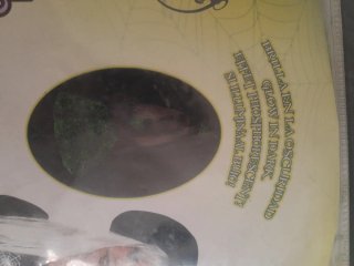 Disfraz Bruja Telaraña Infantil