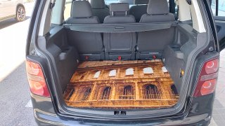 Volkswagen Touran 2008
