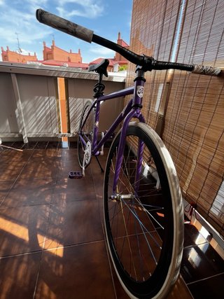 Bicicleta Fixie Riscko Morada