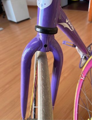 Bicicleta Fixie Riscko Morada