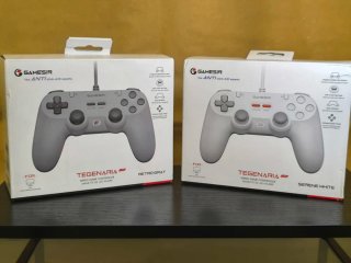 Controller Competitivo - Professionale - Garanzia