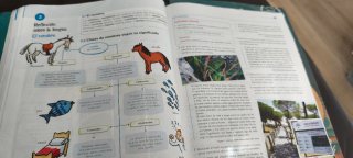 Lengua y literatura 1 ESO tres libros Anaya