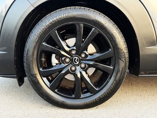 Mazda CX-30 2.0 e-SKYACTIV X 186 CV AT Homura
