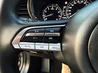 Mazda CX-30 2.0 e-SKYACTIV X 186 CV AT Homura