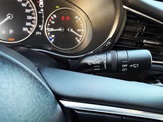 Mazda CX-30 2.0 e-SKYACTIV X 186 CV AT Homura
