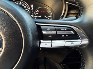 Mazda CX-30 2.0 e-SKYACTIV X 186 CV AT Homura