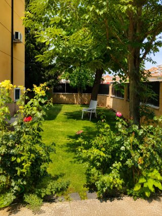 Expertos en jardinería poda y paisajismo integral
