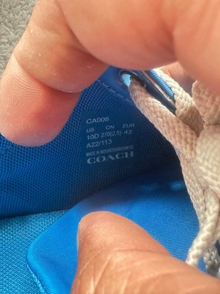 Zapatillas Coach Azules