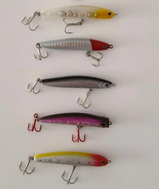 5 Paseantes de pesca hundidos