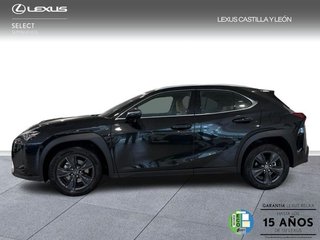Lexus UX 300H + 2WD