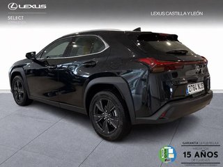Lexus UX 300H + 2WD