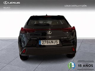 Lexus UX 300H + 2WD