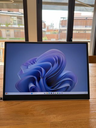 LG Gram View Monitor Portátil