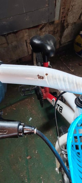 Bicicleta Infantil DTB 160 Roja y Blanca
