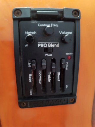 Guitarra amplificada
