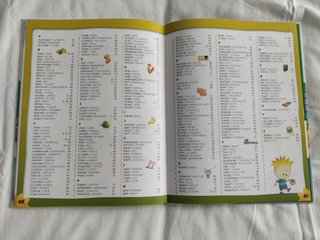 Libro Infantil Aprende Inglés con Dougie