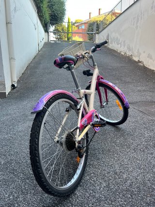 Bicicletta bambina con cestino
