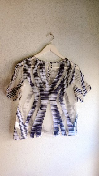 Blusa transparente con detalle hilos