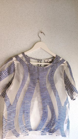 Blusa transparente con detalle hilos