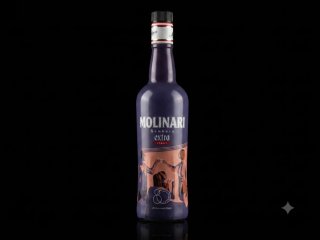 Molinari Sambuca Extra Bottiglia Limitata