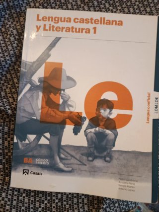 Lengua castellana y Literatura 1 BA Lengua coof...