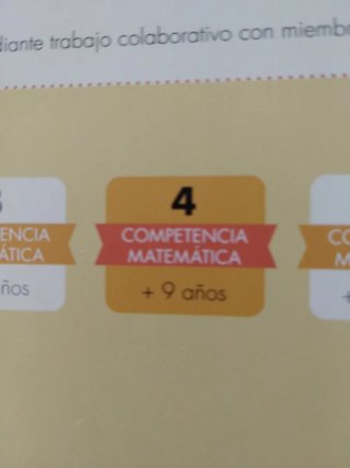 Competencia matemática RUBIO 4