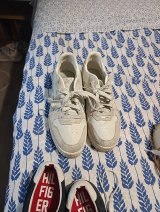 Zapatillas Vans,puma, converse, Tommy Hilfiger