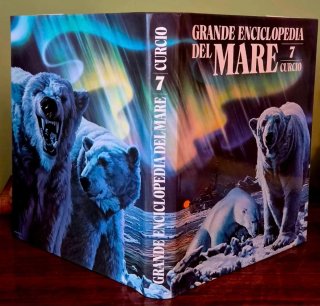 Grande Enciclopedia del Mare Curcio