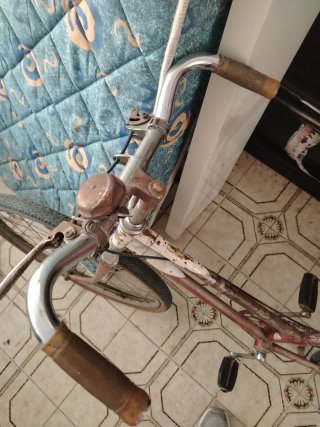 Bicicleta Clásica Vintage