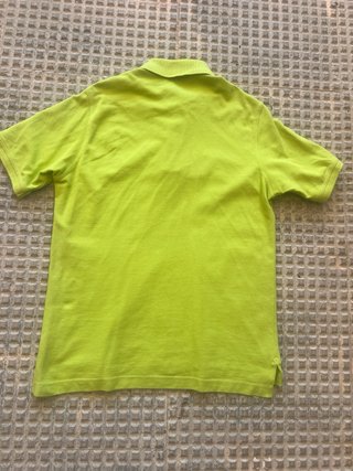 Polo Thomas Burberry Verde