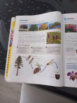 Biología Y Geología 1 Secundaria
