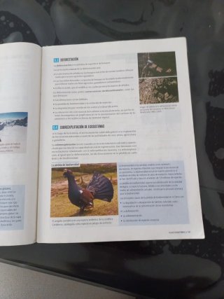 Biología Y Geología 1 Secundaria